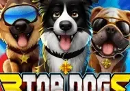 3 Top Dogs game icon